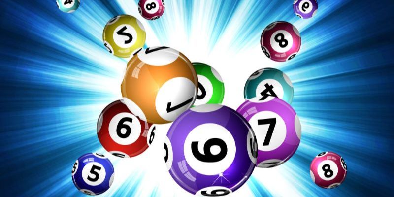 Cách nuôi dàn đề 20 số hiệu quả