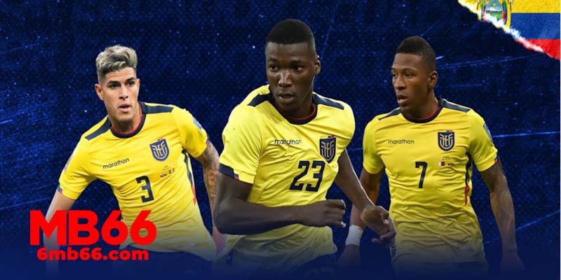 Ecuador là một tập thể trẻ rất giàu sức chiến đấu tại Copa America 2024